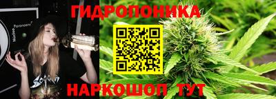 амф Пыть-Ях